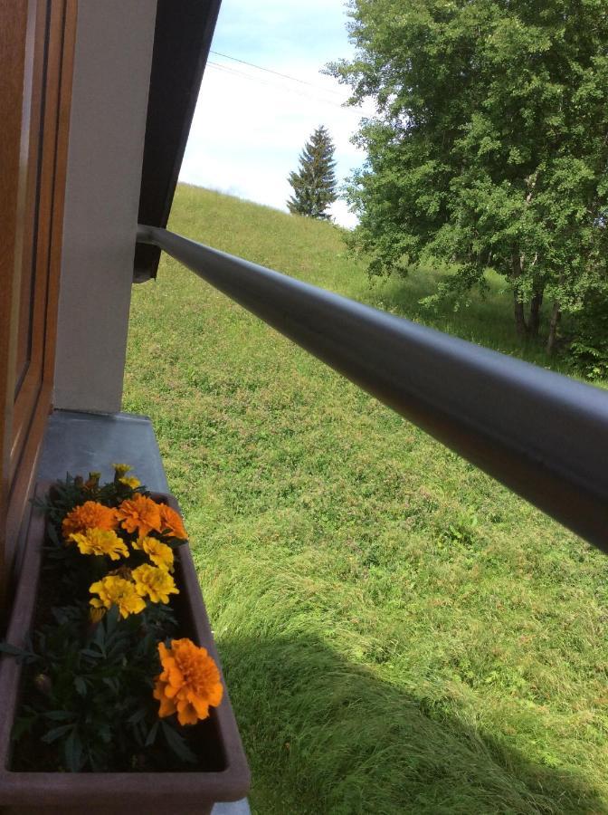 Apartman Odolov Jestrebi Hory Male Svatonovice Екстер'єр фото